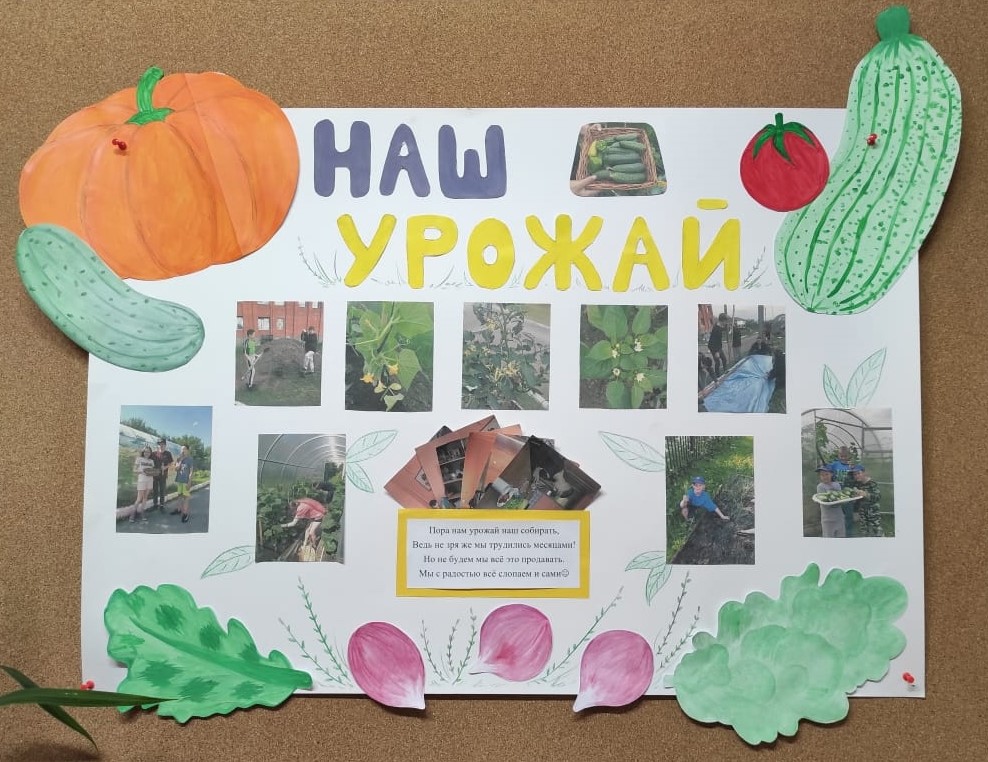 Что посеешь, то и пожнёшь