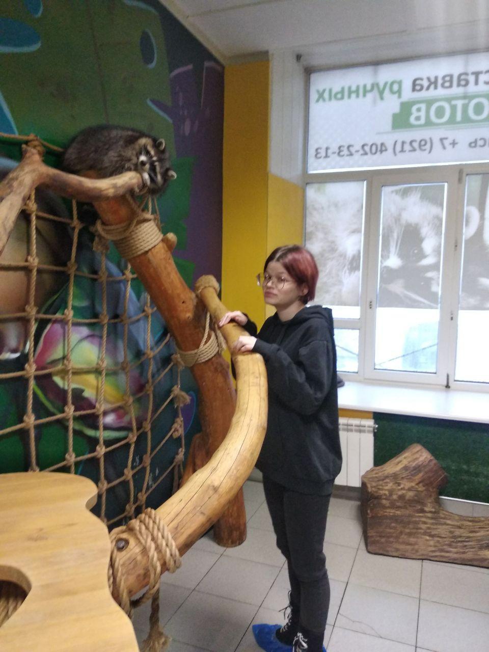Пушистые и весёлые выходные стажировочной квартиры. Пушистые и весёлые выходные стажировочной квартиры.