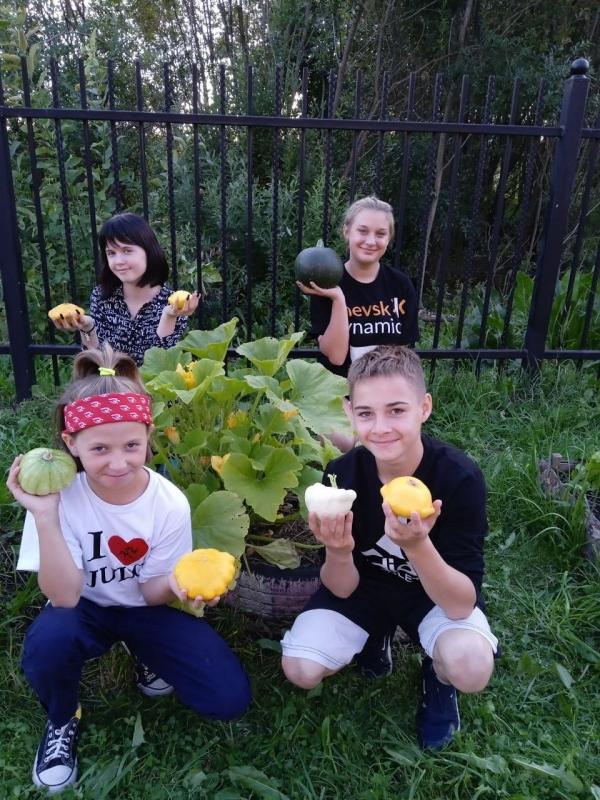 Урожай патиссонов и кабачков