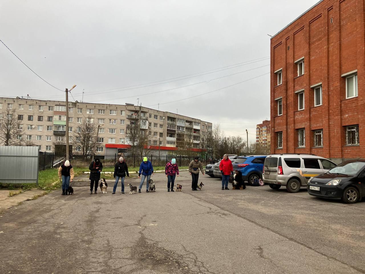 У нас в гостях "Клуб Каштанка Добрый Пёс". Собаки показывали трюки, выполняли команды и давали себя погладить детям.