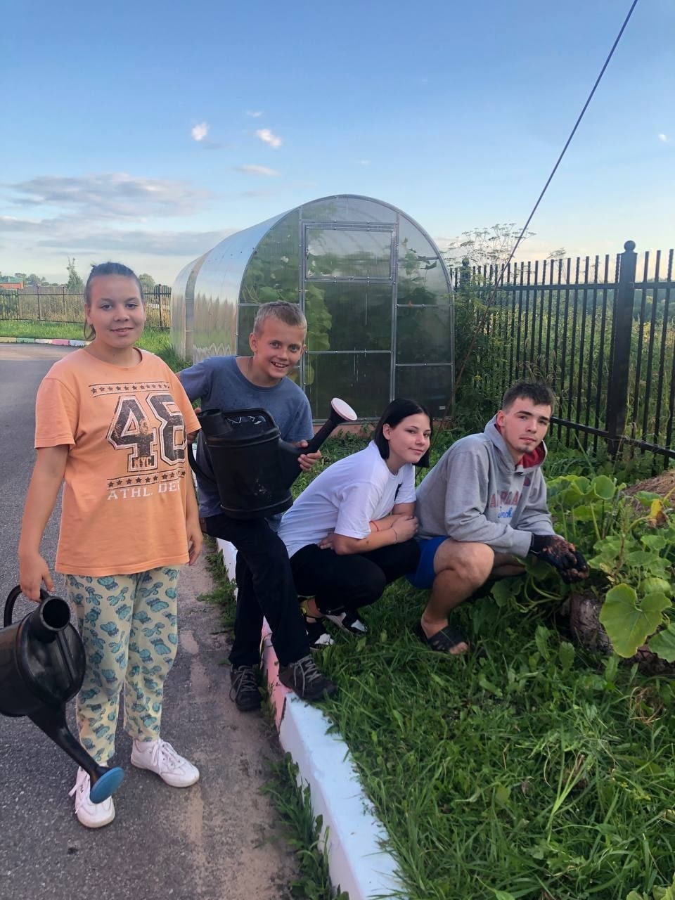 Урожай патиссонов и кабачков
