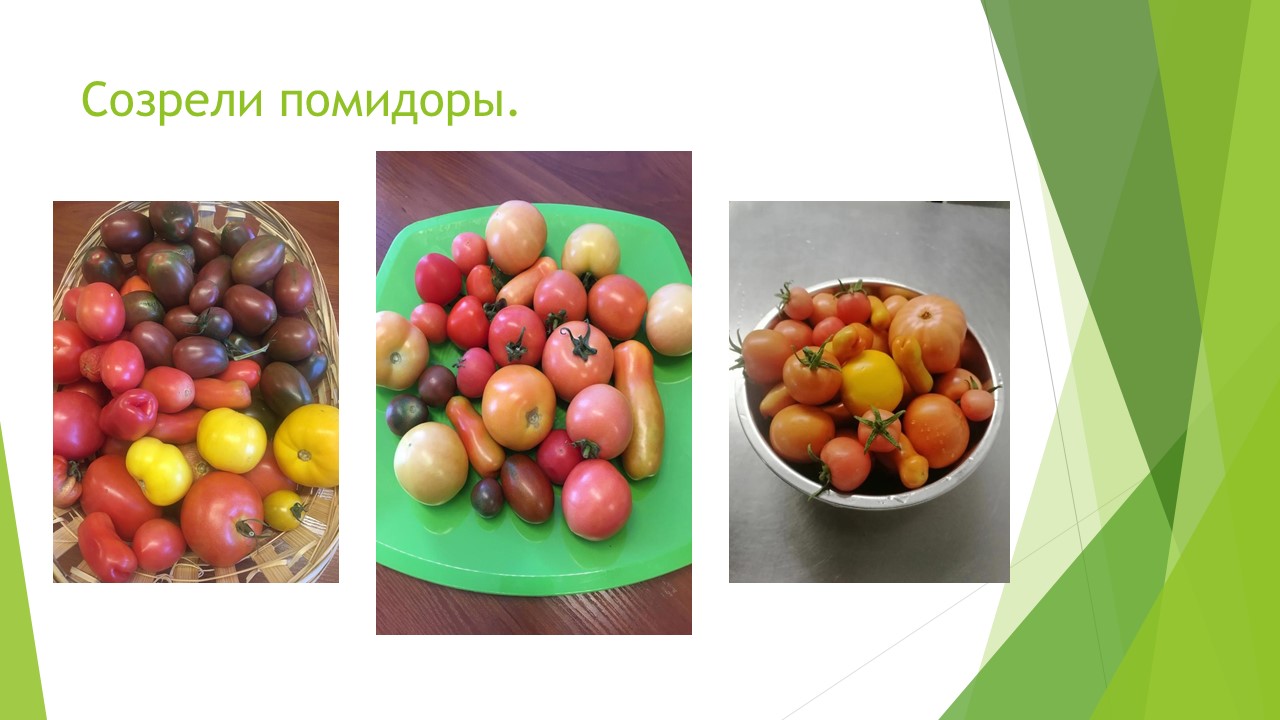 Что посеешь, то и пожнёшь