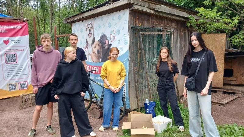 Привезли вкусняшки, пообщались с питомцами — погладили, поговорили, погуляли с теми, кто особенно ждал выхода из вольера.
