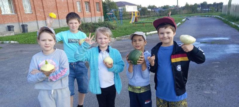 Ребята ухаживают за овощами, посаженных на грядках, наблюдают за ростом растений, не забывают про полив, и огород радует их урожаем!