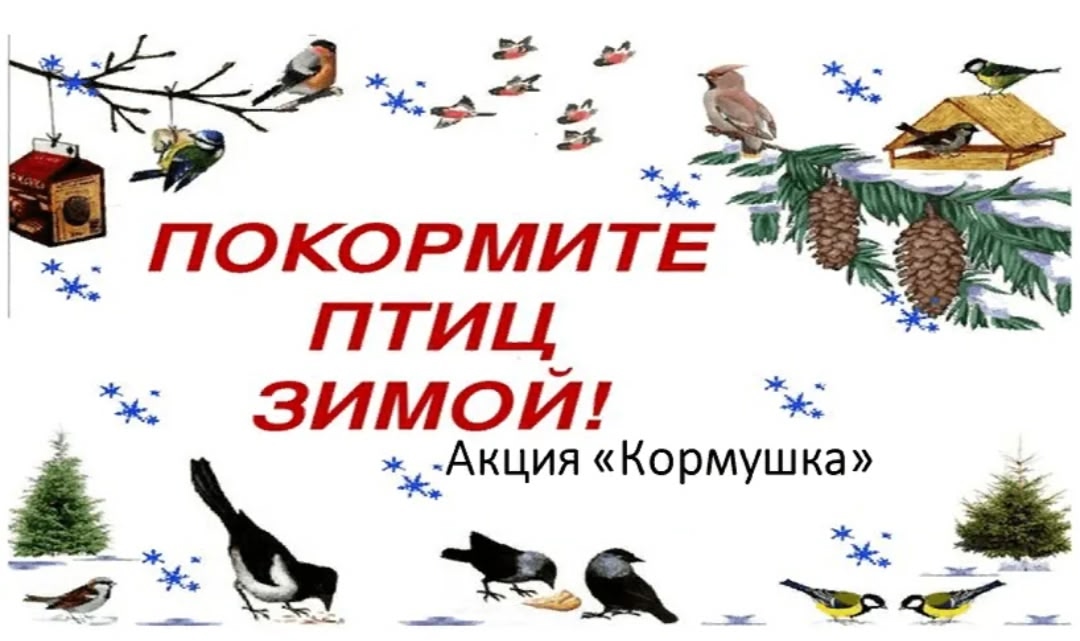  Покормите птиц зимой вместе с фермой Терем-Ок!