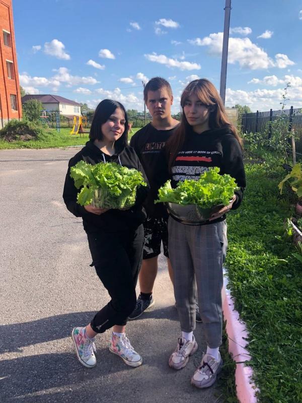 Сбор урожая