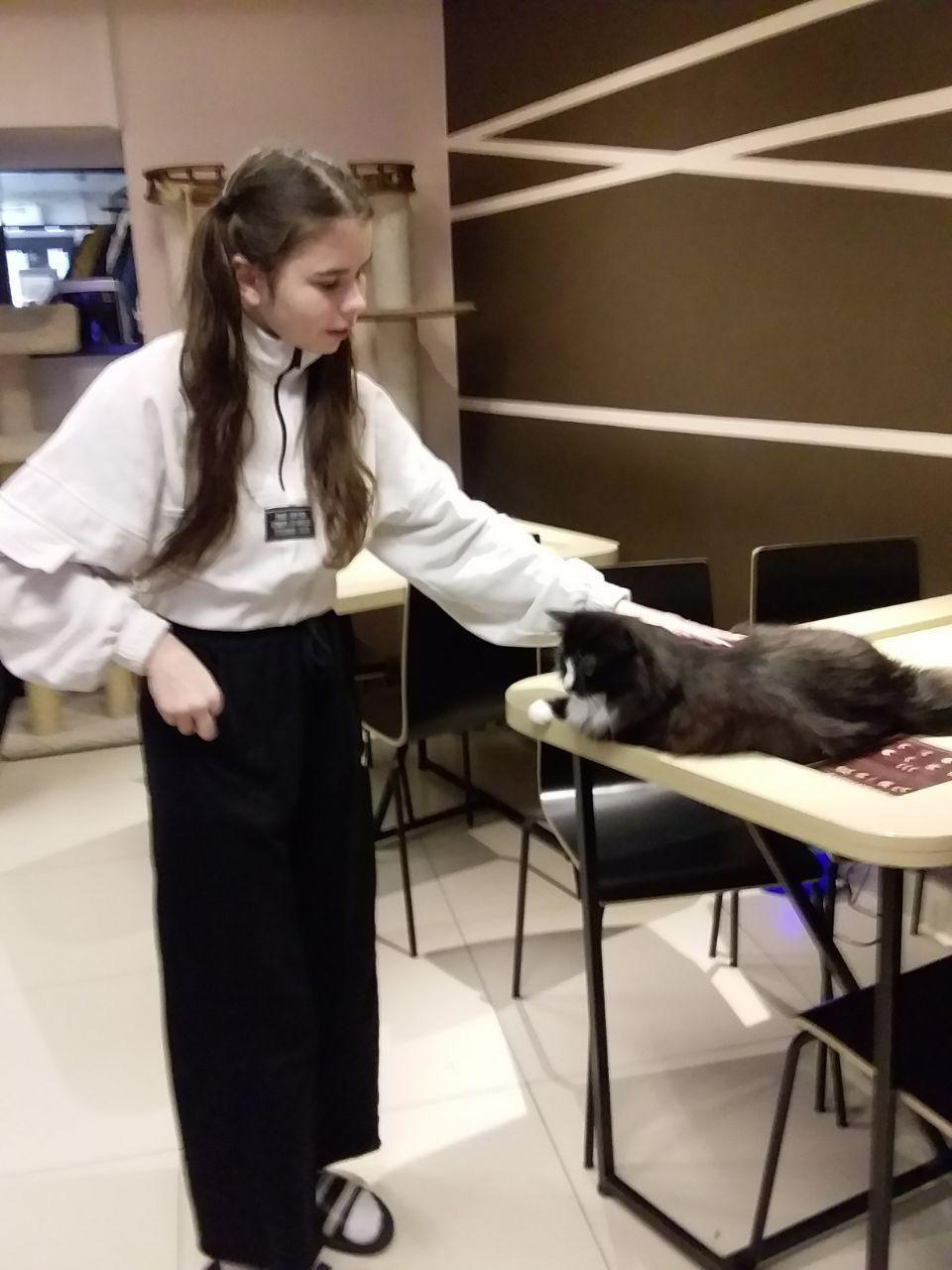 Что может быть лучше, чем провести выходные с котиками?)