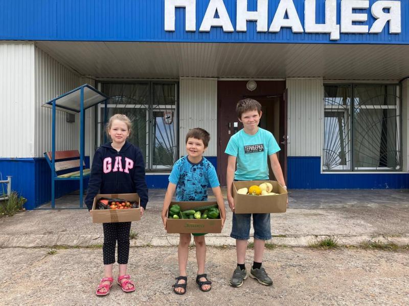 Огород нас порадовал урожаем и пришло время делиться)!