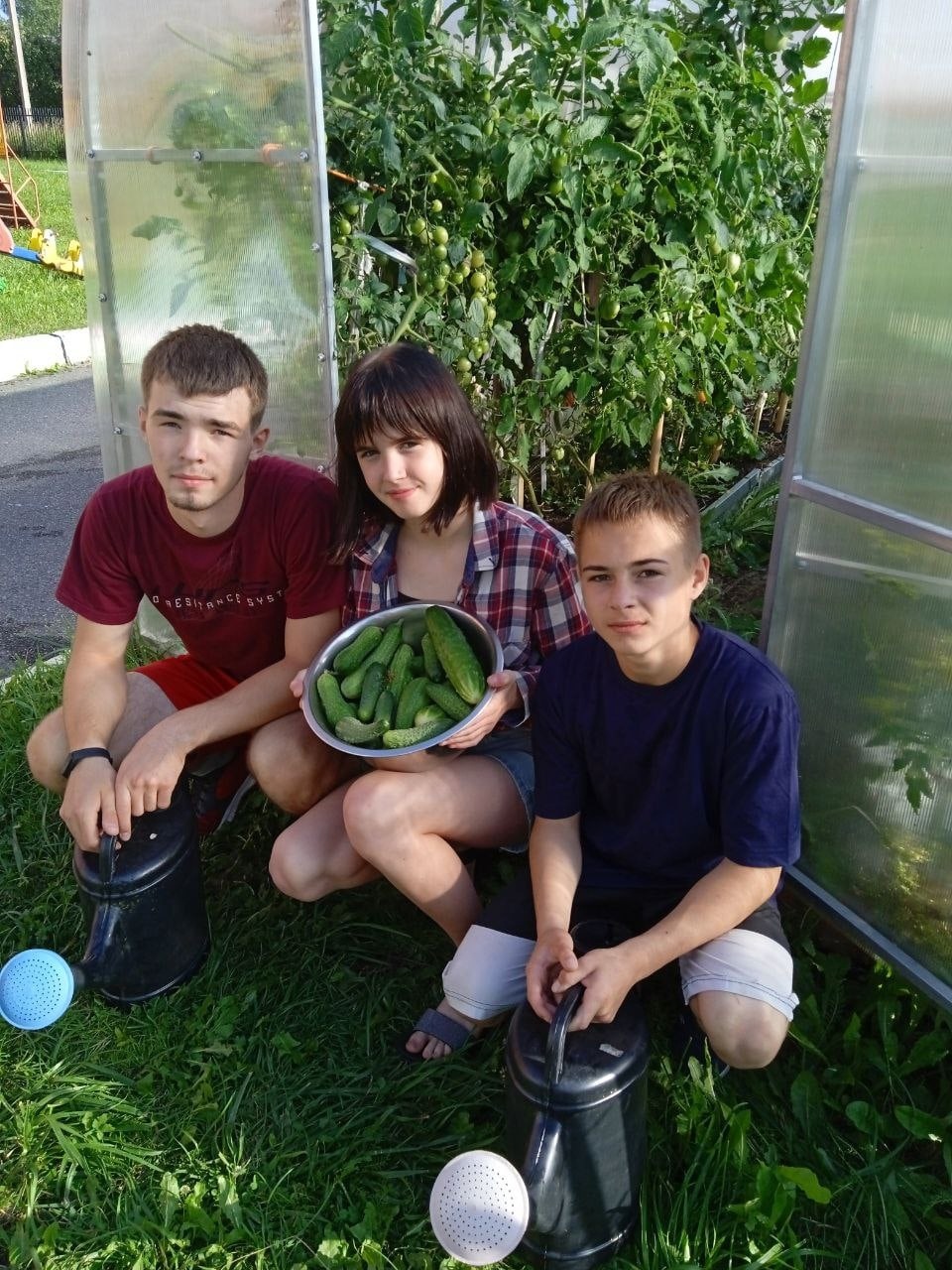 Сбор урожая