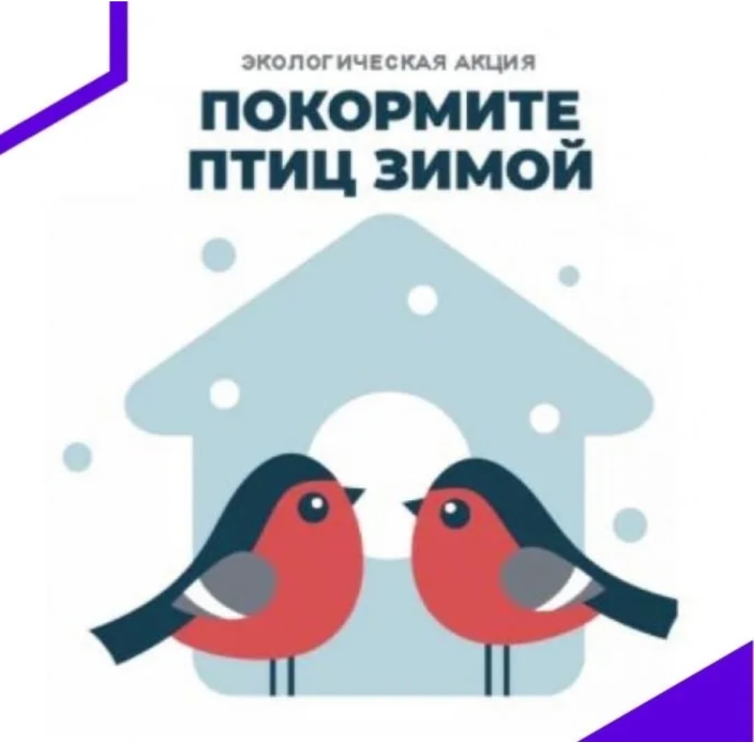 Покормите птиц зимой вместе с фермой Терем-Ок! Покормите птиц зимой вместе с фермой Терем-Ок!