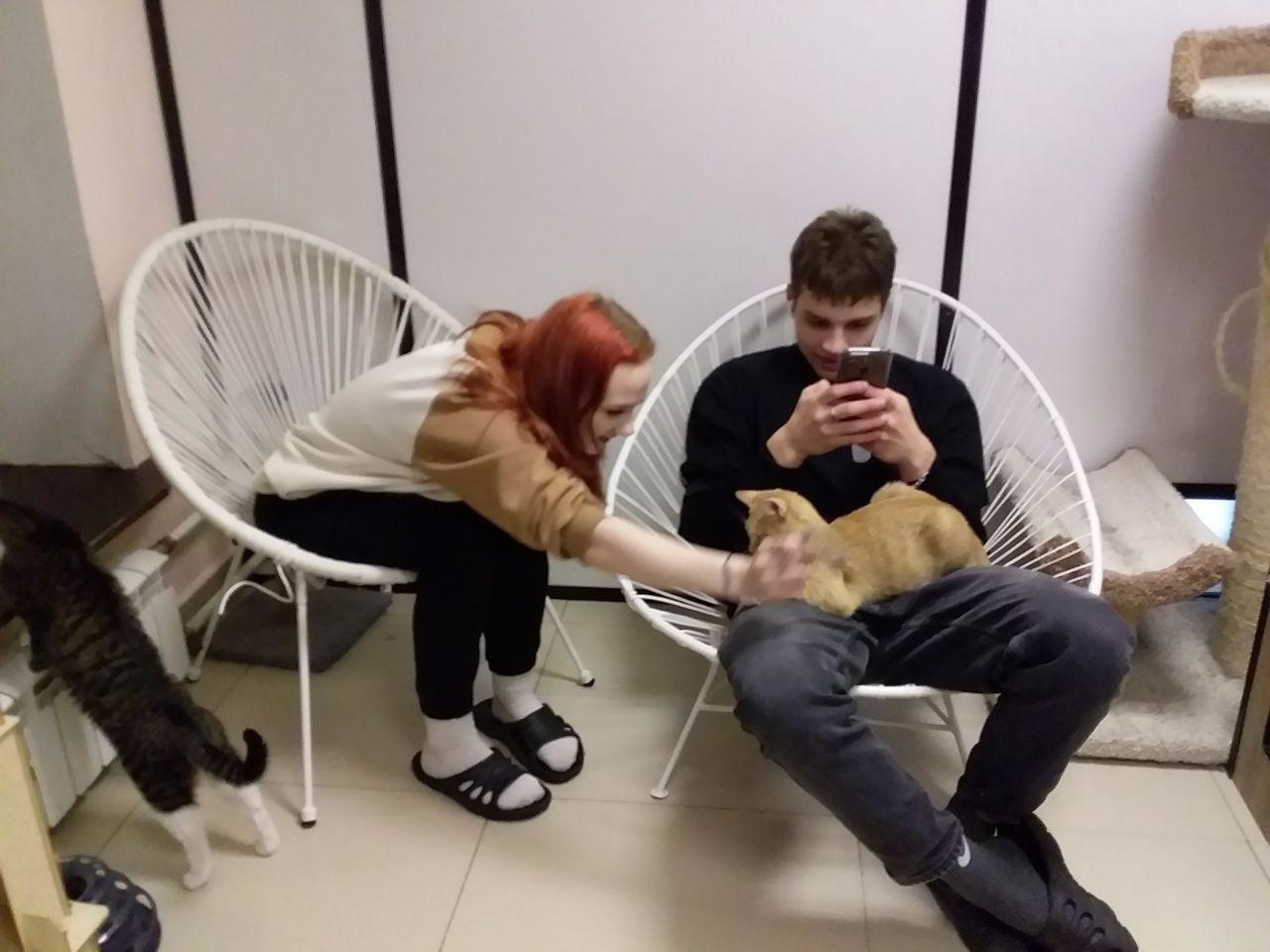 Что может быть лучше, чем провести выходные с котиками?)