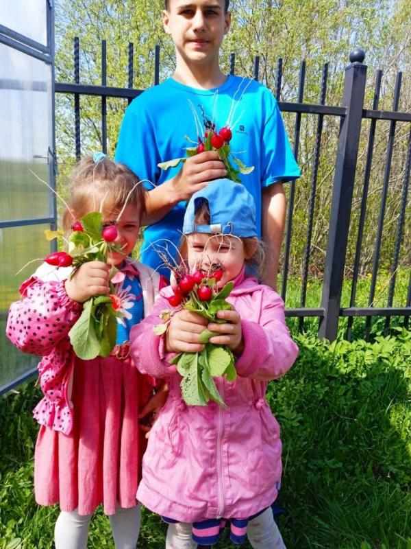 Весенние заботы. 