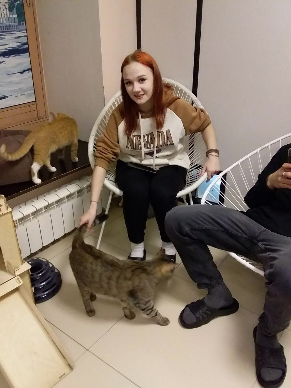 Что может быть лучше, чем провести выходные с котиками?)