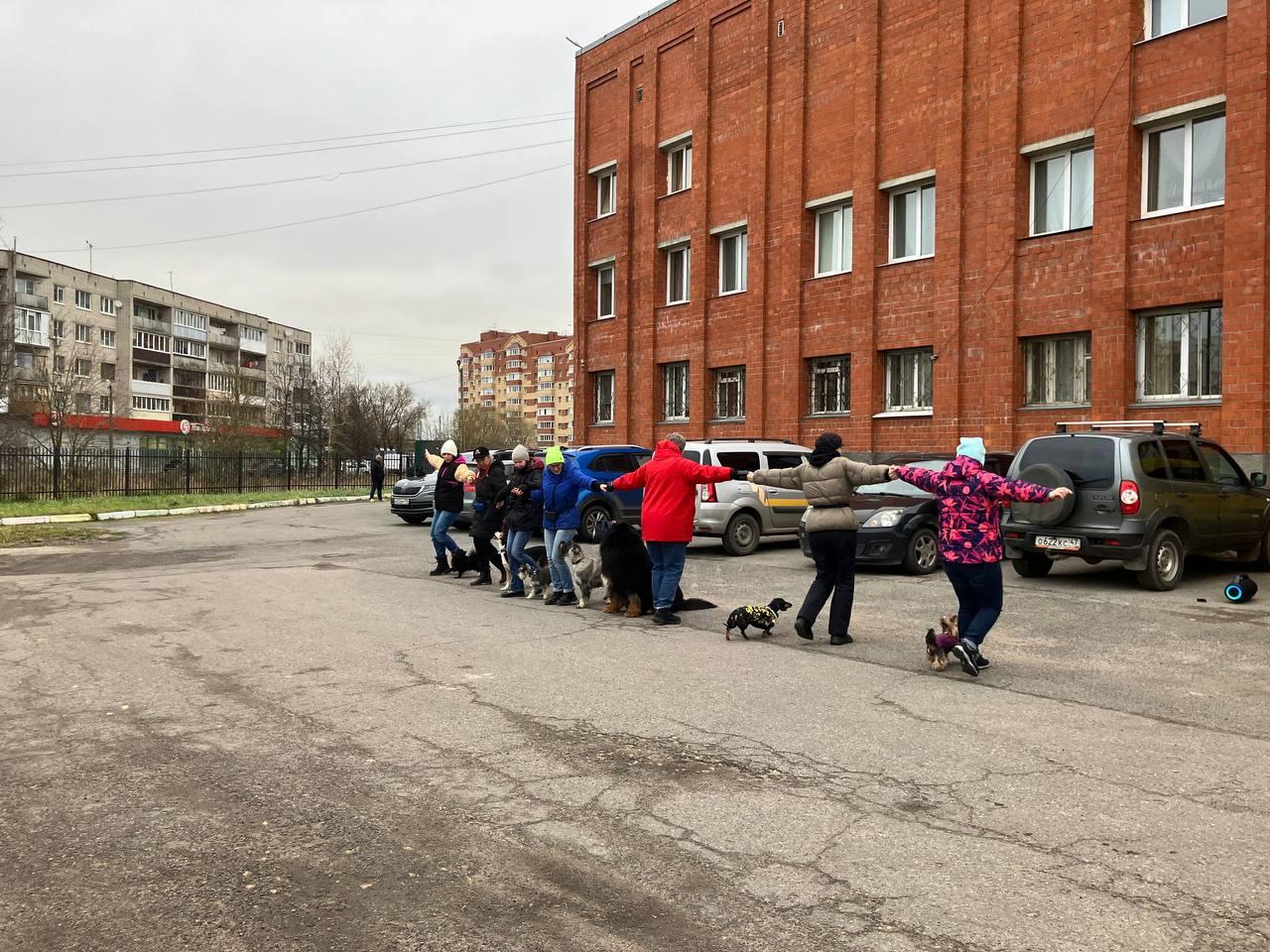 У нас в гостях "Клуб Каштанка Добрый Пёс". Собаки показывали трюки, выполняли команды и давали себя погладить детям.