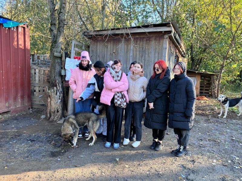 Полезные выходные для стажировочной квартиры и не только.
