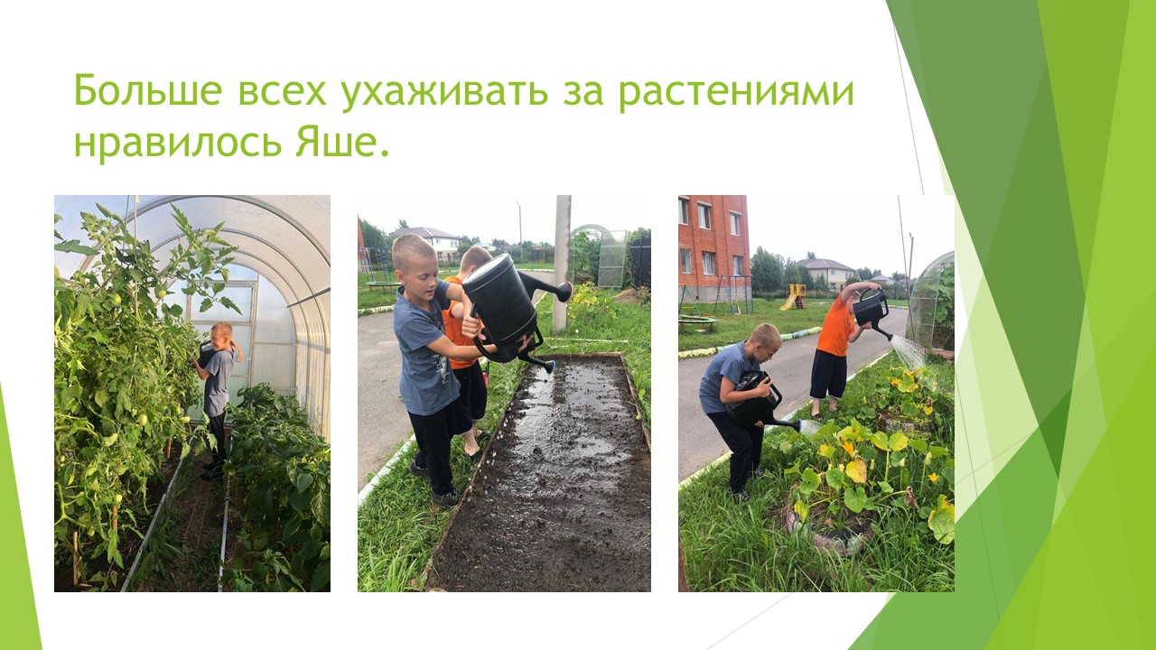 Что посеешь, то и пожнёшь