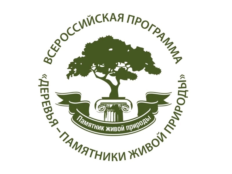 Стартовал ежегодный Всероссийский конкурс «Российское дерево года – 2025»!