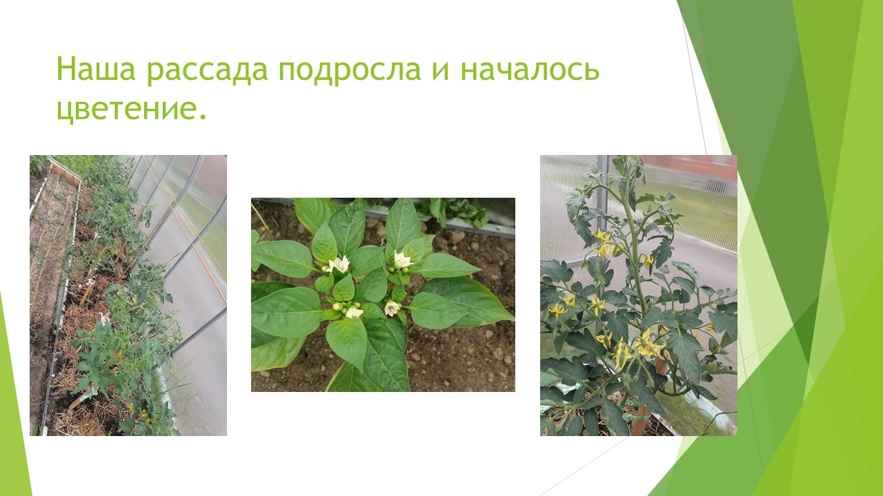 Что посеешь, то и пожнёшь