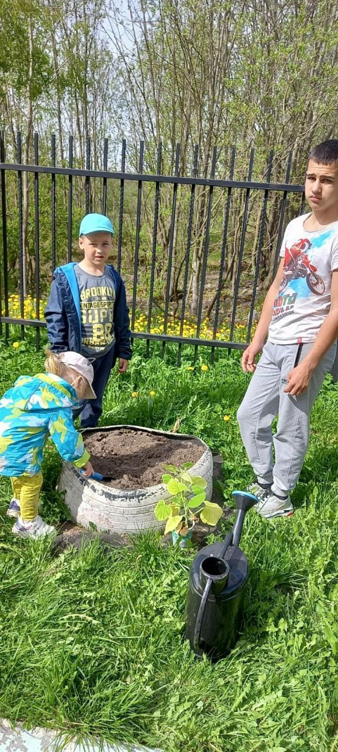 Весенние заботы. 